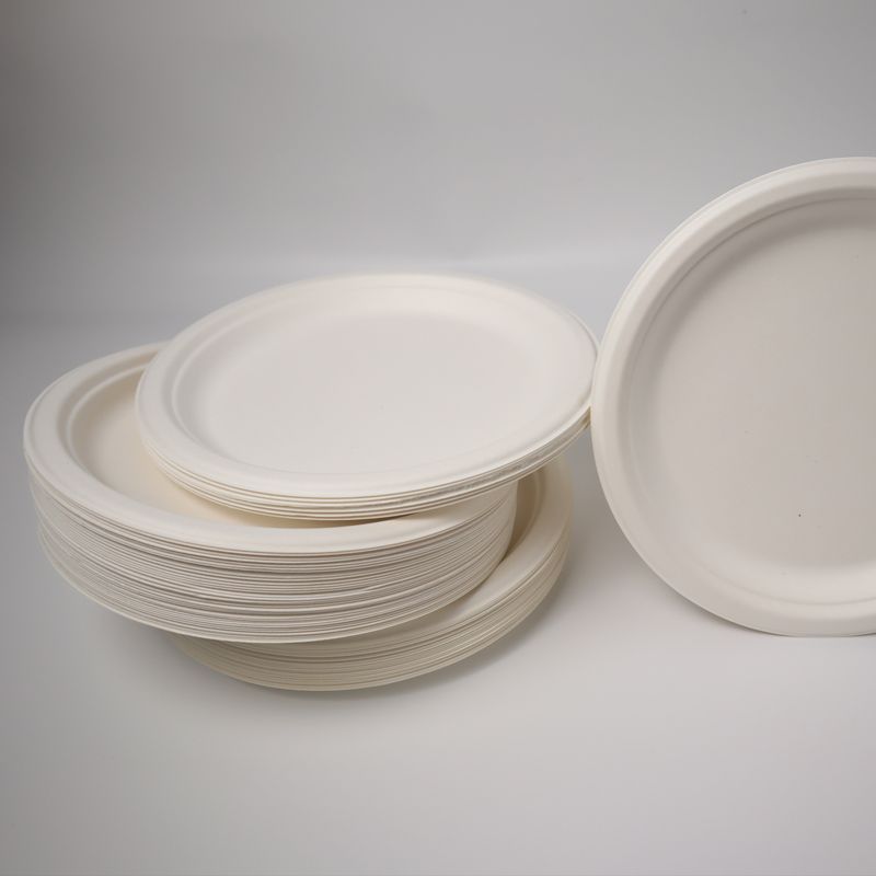 eco friendly disposable plates