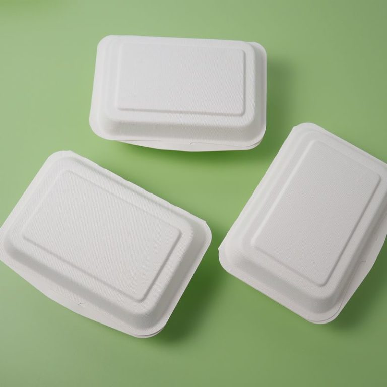 disposable takeaway fast food biodegradable ecofriendly food containers