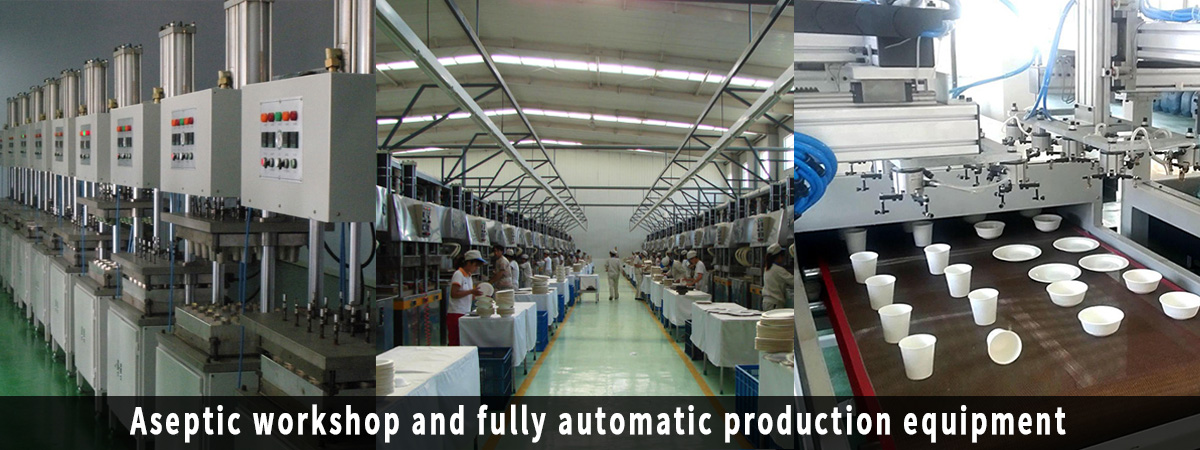 biodegradable food packaging factory in China