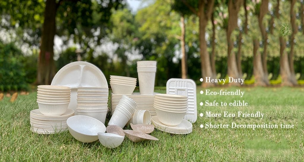 biodegradable tableware food packaging