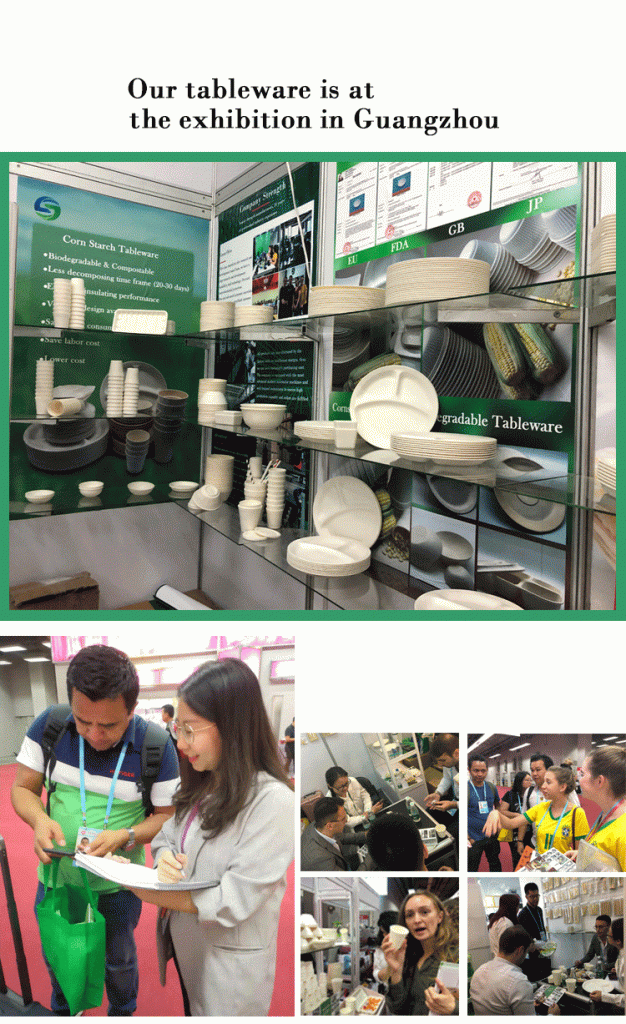 biodegradable plates wholesale