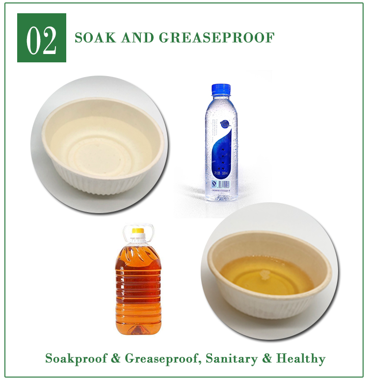 eco food packaging environmentally friendly disposable plates