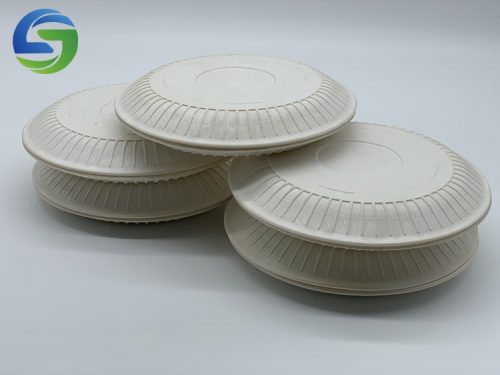 eco friendly plates