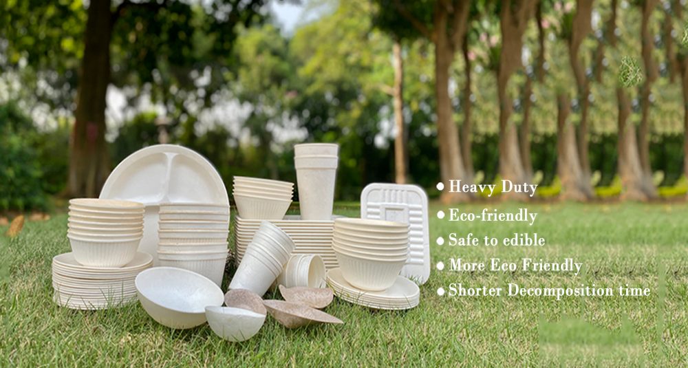 biodegradable corn starch food packaging Supplier China eco friendly plates and cups