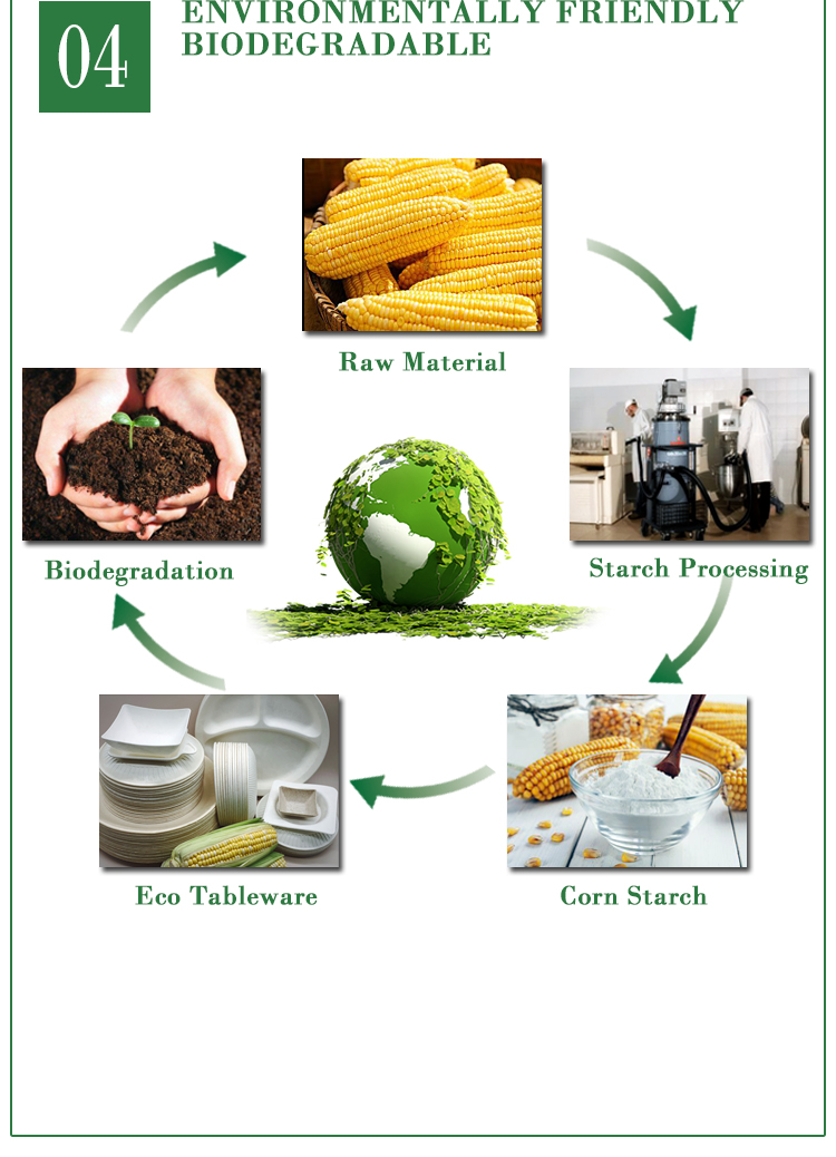 Eco friendly corn starch biodegradable tableware Recycling system Chart