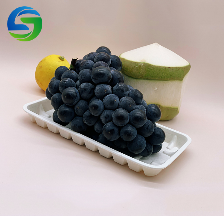 Factory Direct Corn Starch Biodegradable Disposable fast food supermarket fresh fruit vegetable packaging trays