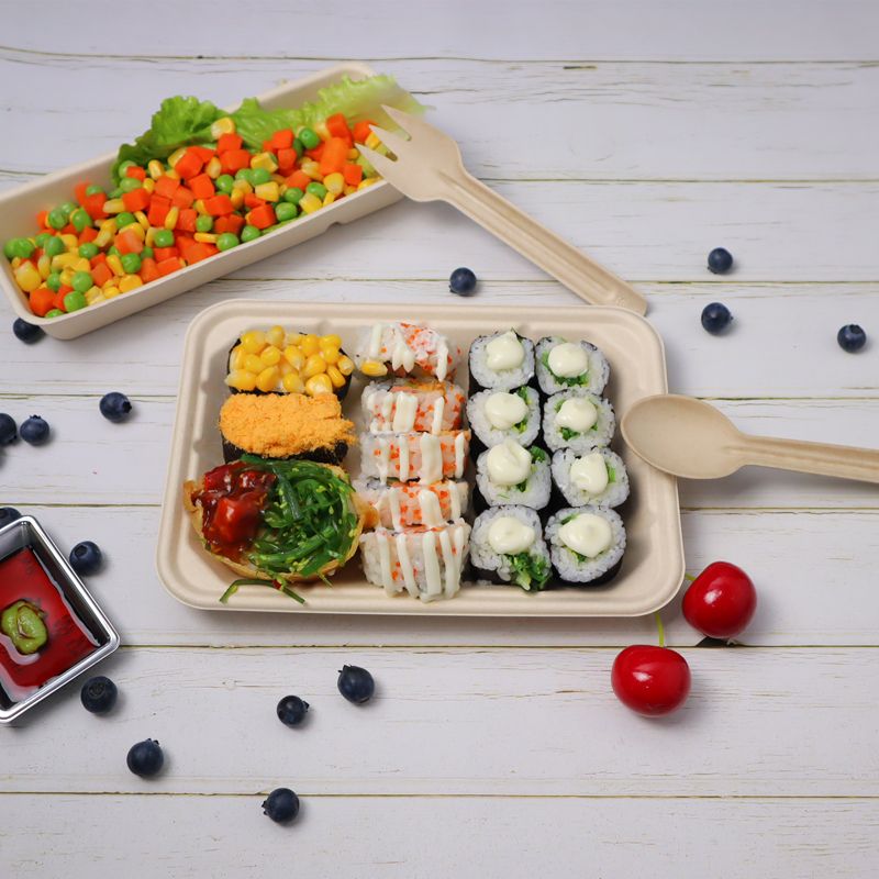 4 Compartment Biodegradable Disposable Bagasse Meal Tray In China