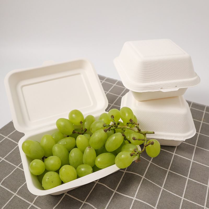 Biodegradable Eco-Friendly Takeaway Food Containers Sugarcane Bagasse 2  Compartment Clamshell-Box