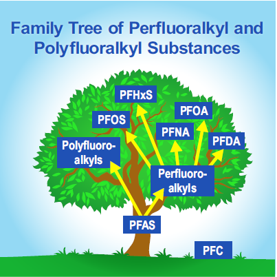 pfas FAMILY TREE