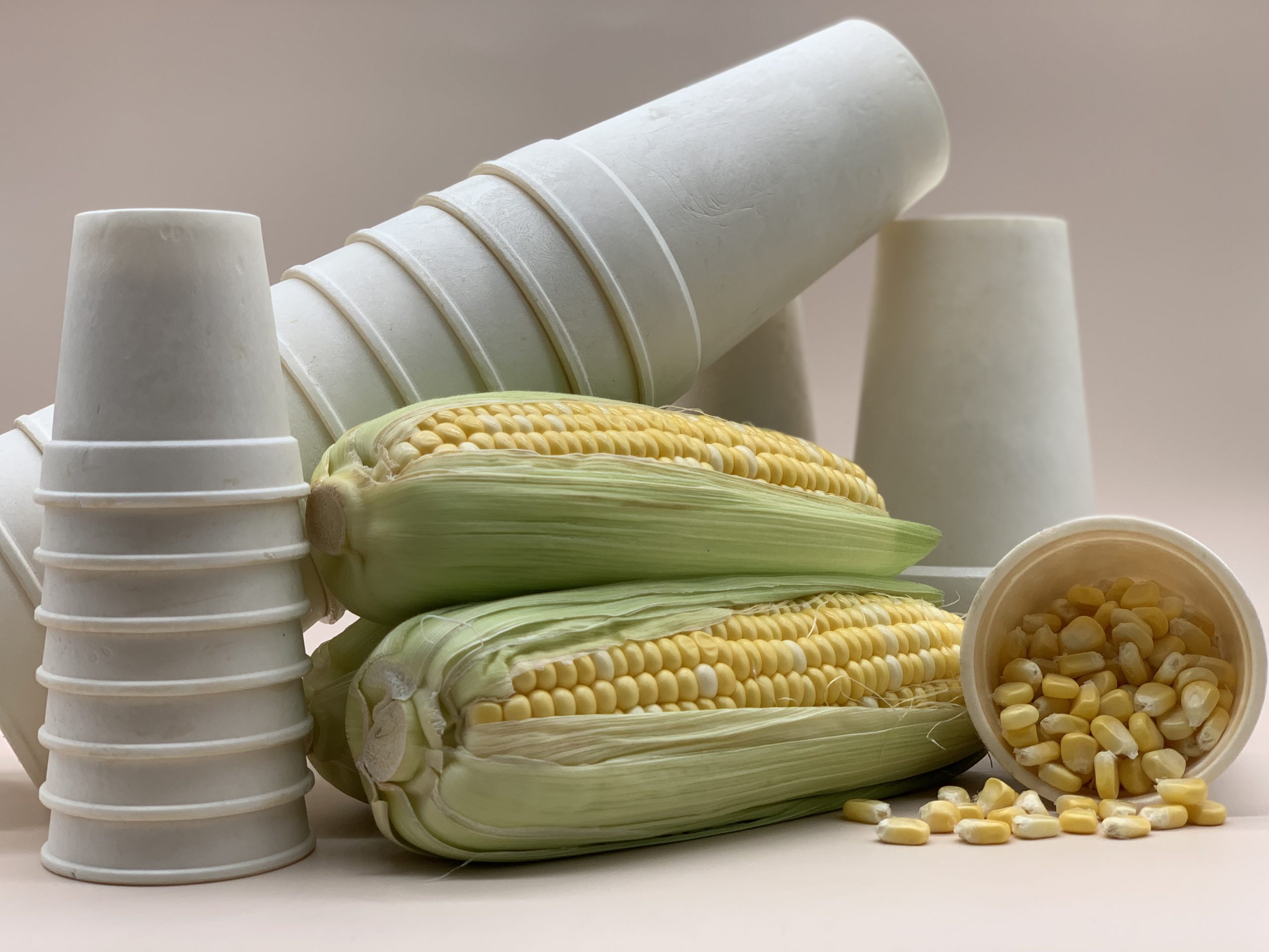 cornstarch tableware