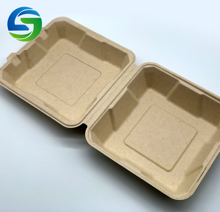 Eco friendly Food Containers Food packaging Biodegradable Sugarcane