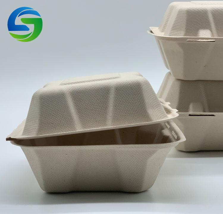 Eco friendly Food Containers Food packaging Biodegradable Sugarcane
