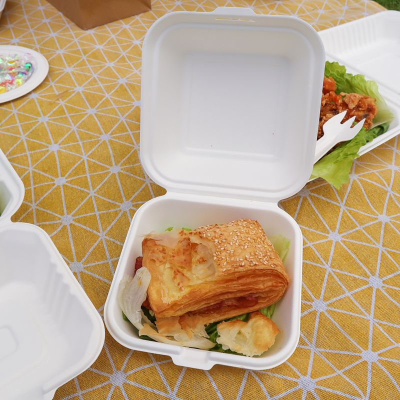 biodegradable food containers