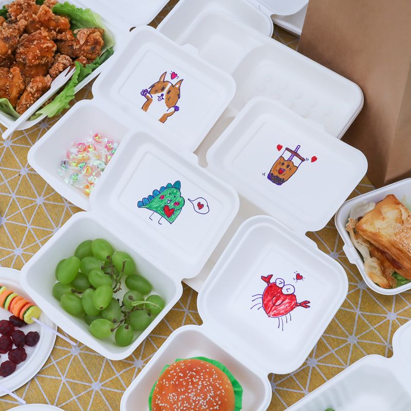 Biodegradable Take out Boxes
