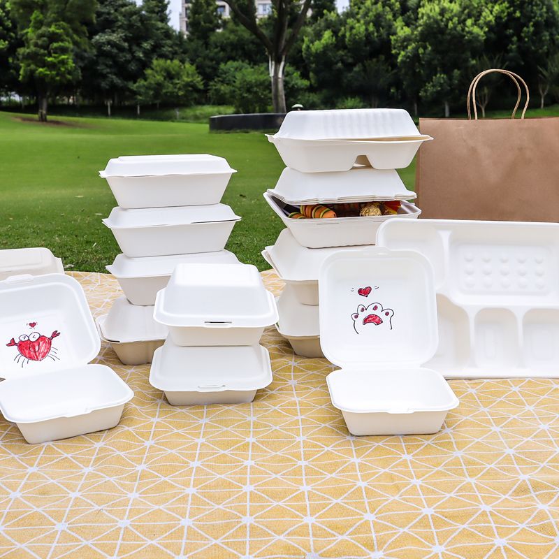 Eco-Friendly Sugarcane Pulp Food Containers | Biodegradable ...