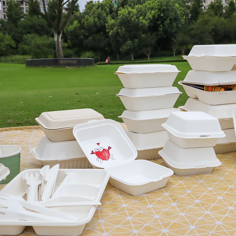 Biodegradable Take out Boxes