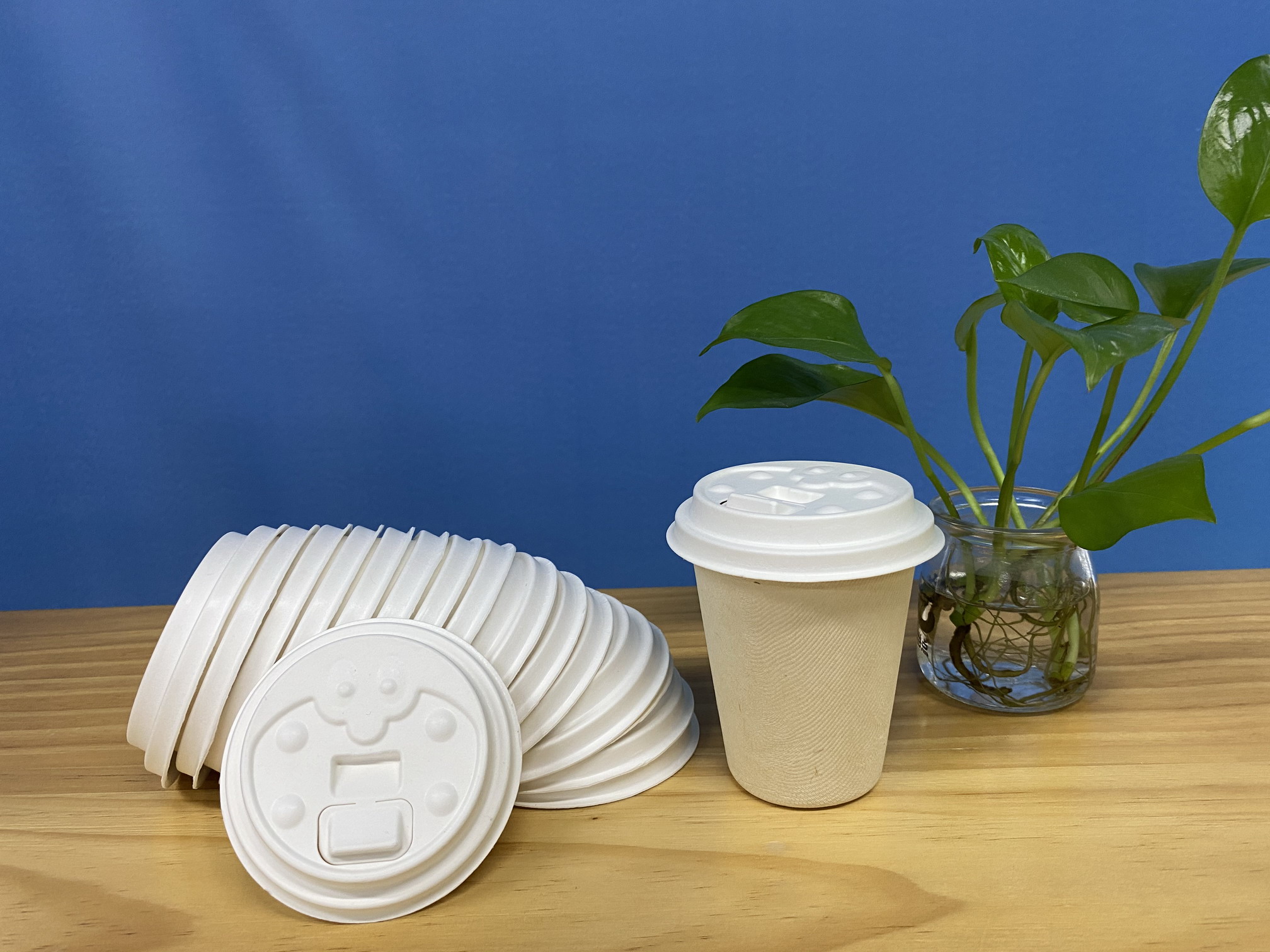 Costco Compostable Cups 57