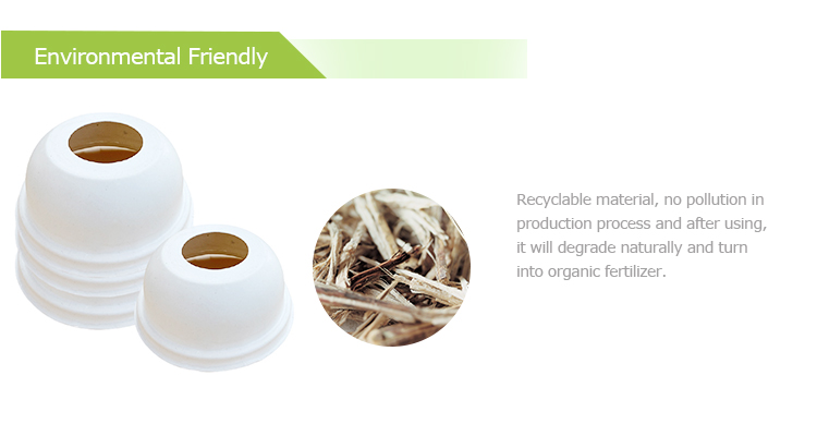 compostable cup lids