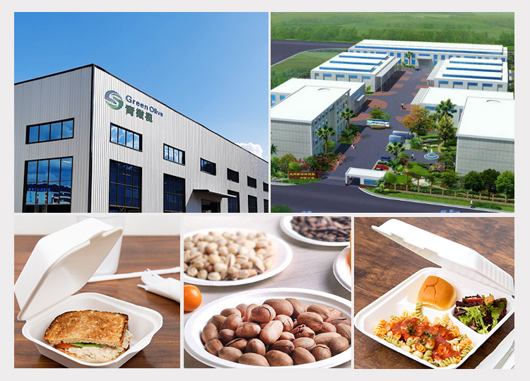 molded pulp packaging manufacturers, compostable packaging for food, what is compostable packaging