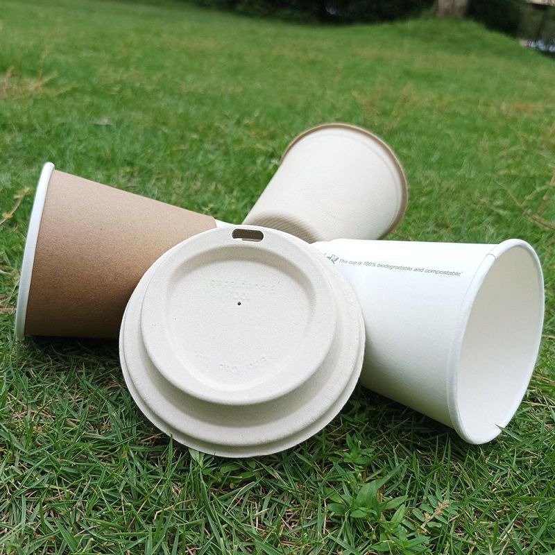 Disposable Cup Lids