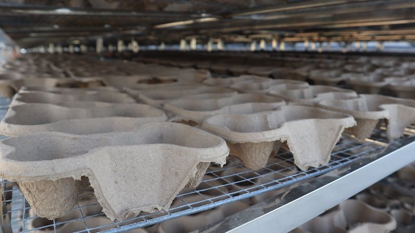 The development characteristics of pulp moulding