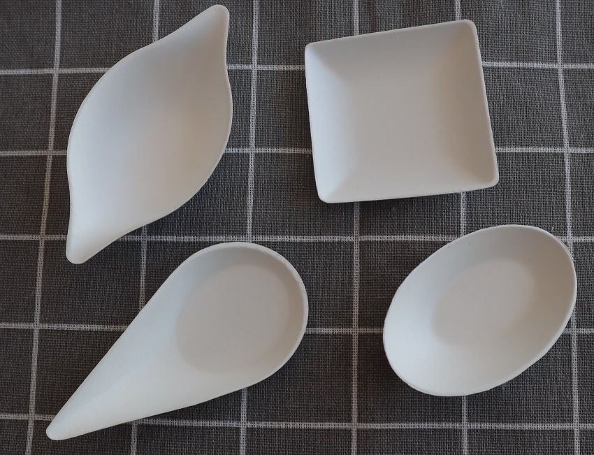 development of modern pulp moulding industry