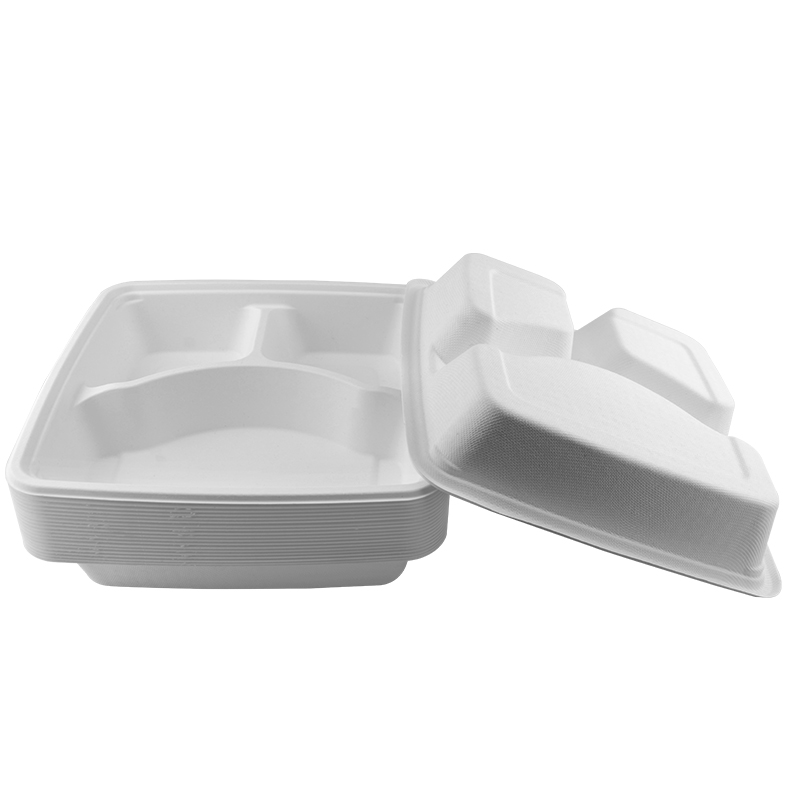 Buy Wholesale China 3 Compartment Plastic Disposable Plates With Lids  Disposable Food Containers & Disposable Plastic Plates Containers at USD  0.04