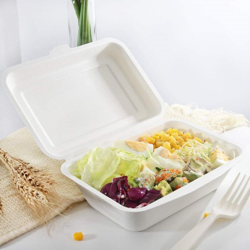 Eco-Friendly Heating Biodegradable Disposable Food Container - China  Bagasse Sugarcane Fiber Take-Ou and Food Boxes price