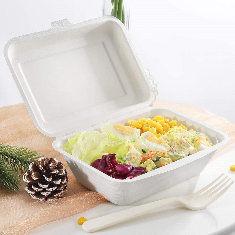 Japanese style 5 compartments sugarcane bagasse pulp disposable