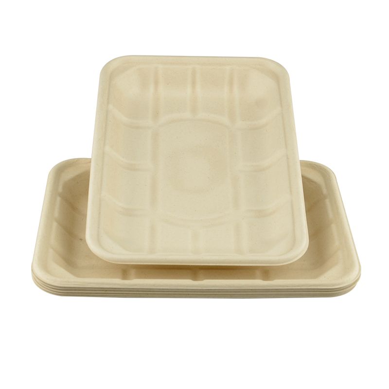 biodegradable tray