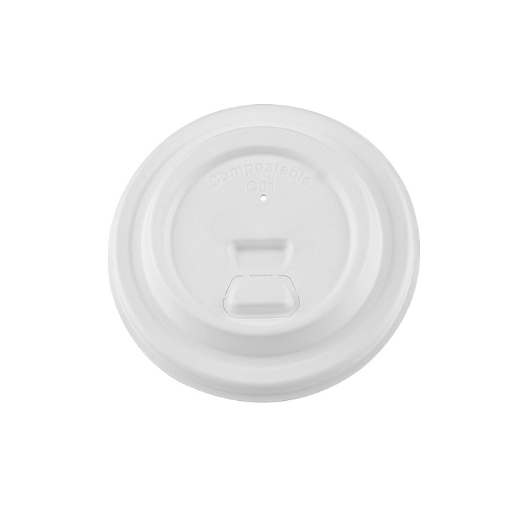 Disposable Lid