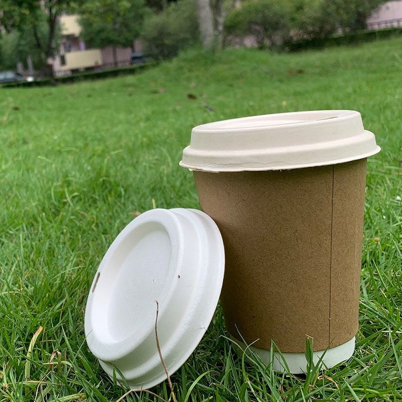 compostable lid 
