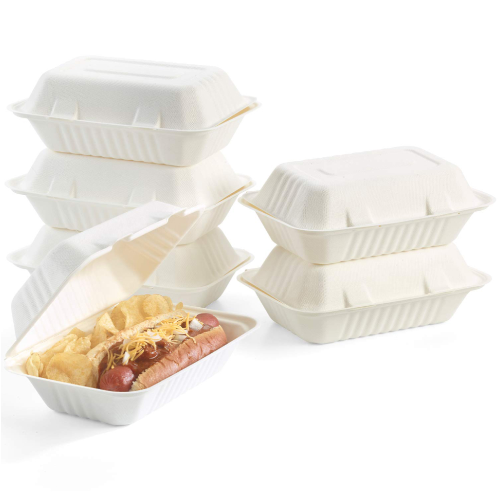 Disposable Lunch Box ,Sugarcane Bagasse Food Container 9*6 inch