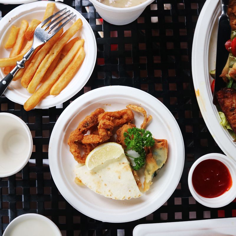 biodegradable plates 