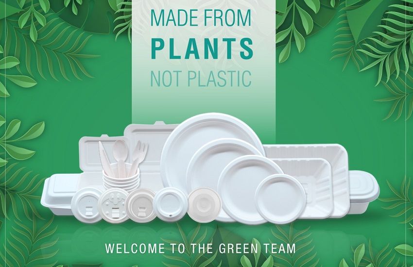 molded pulp products