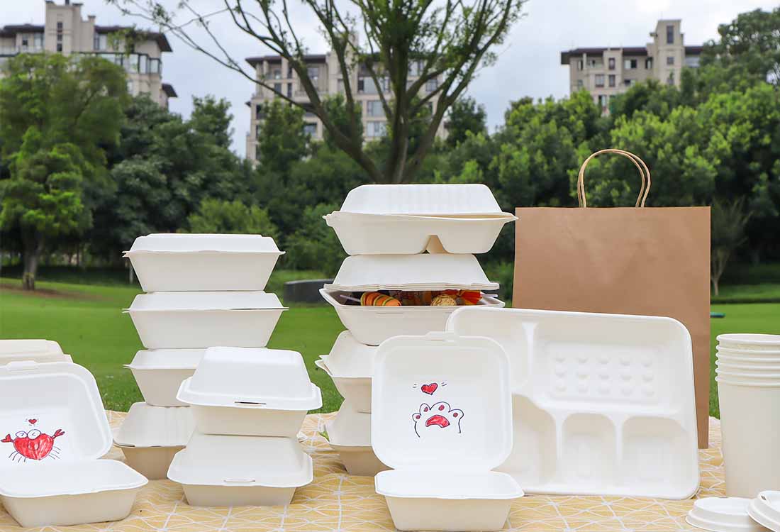 Our disposable food containers are sustainable eco-friendly products