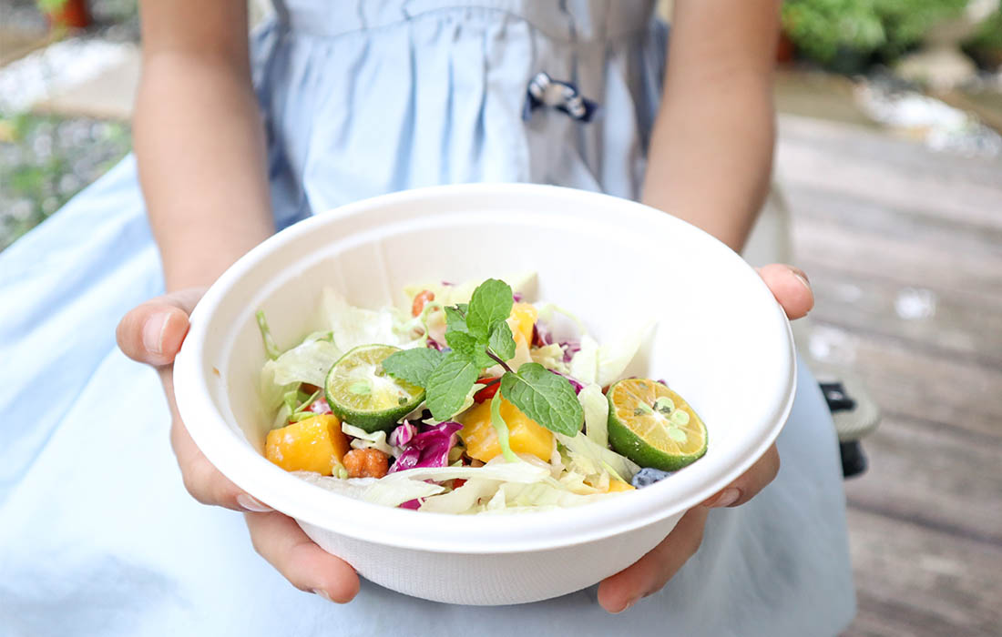 disposable biodegradable bowls