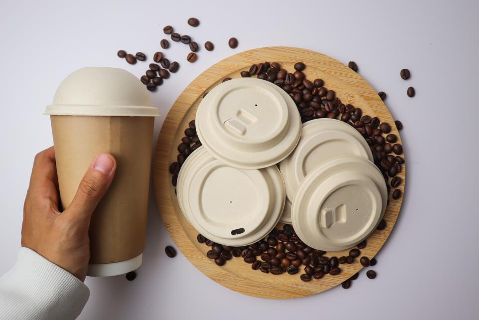 eco paper cup with lids