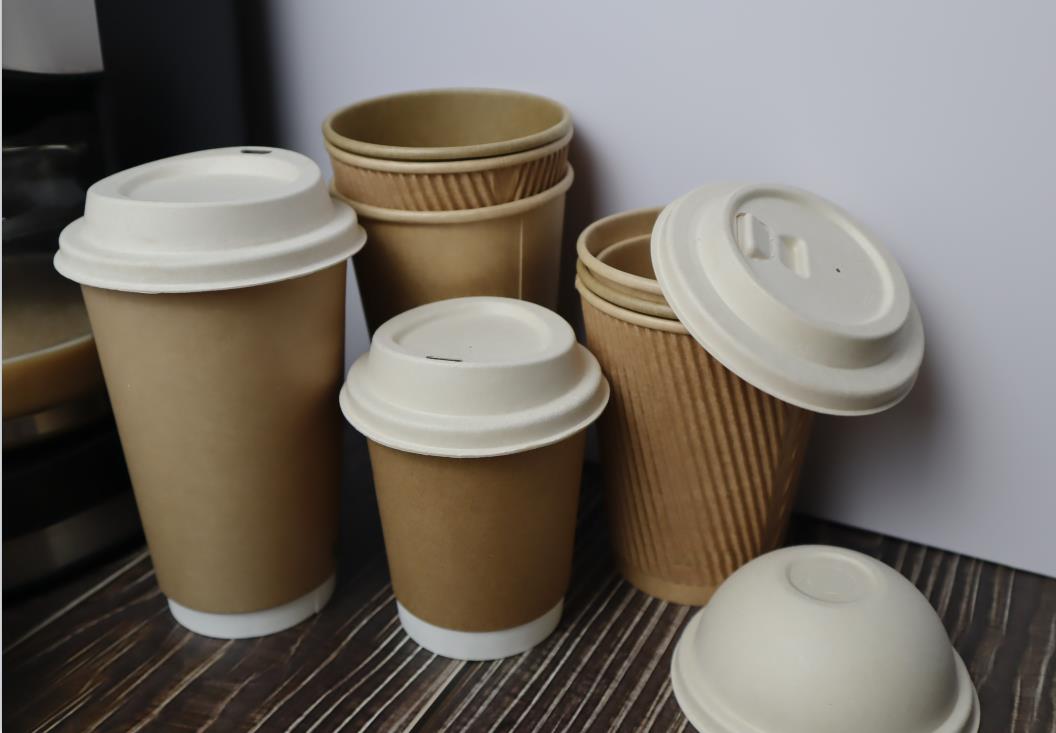 sugarcane bagasse cup with lids