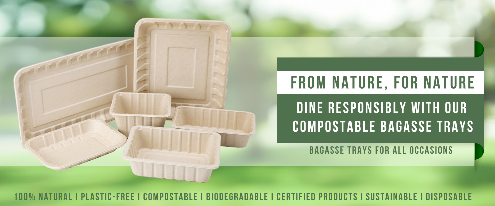 bagasse container