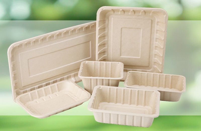 biodegradable bagasse containers greenolives factory