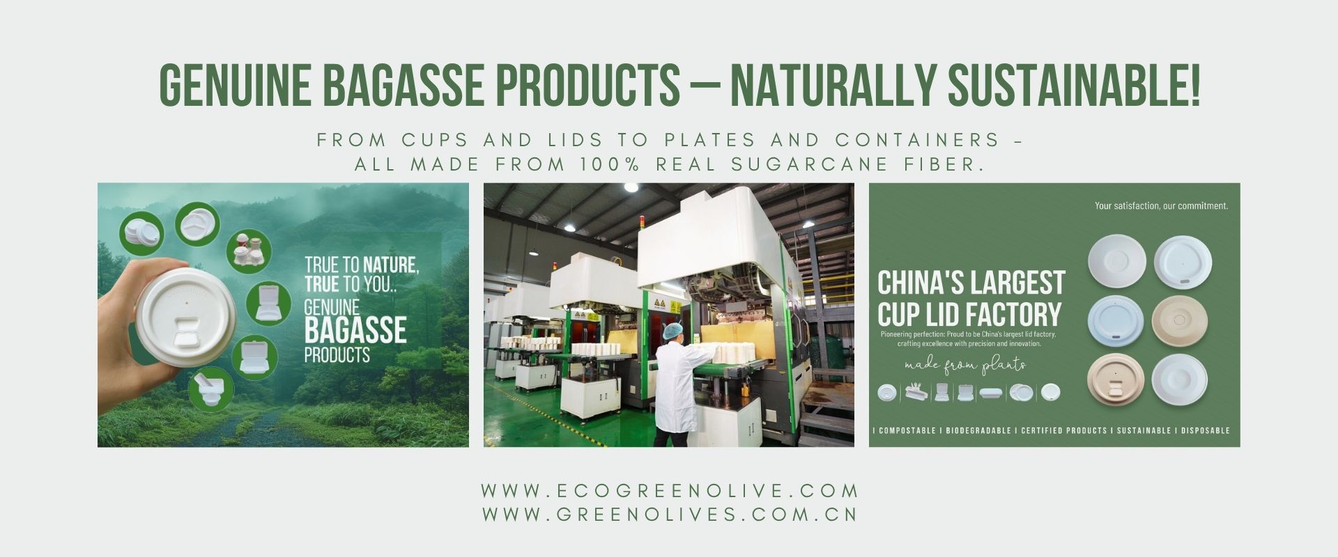 bagasse tableware factory